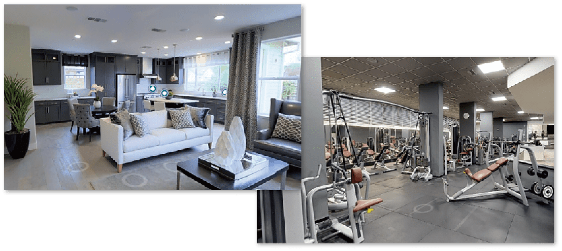 4K画像によるクリアな臨場感、没入感